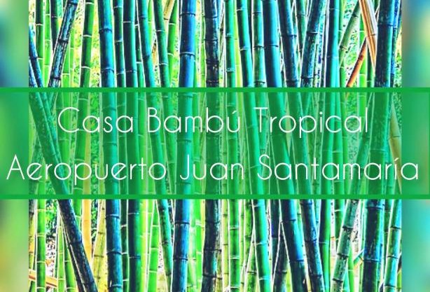 Casa Bambú Tropical