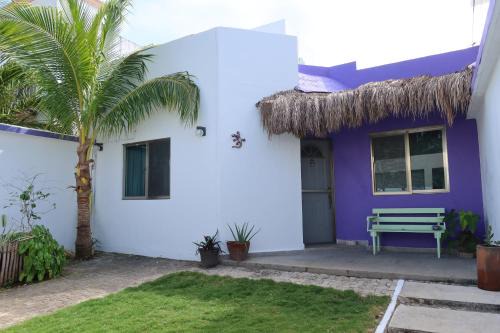 Casa Cebra by the beach -Roof top lounge! Playa del Niño