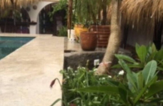 Casa Dixie Mole !