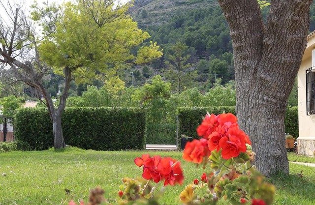 Casa Luz