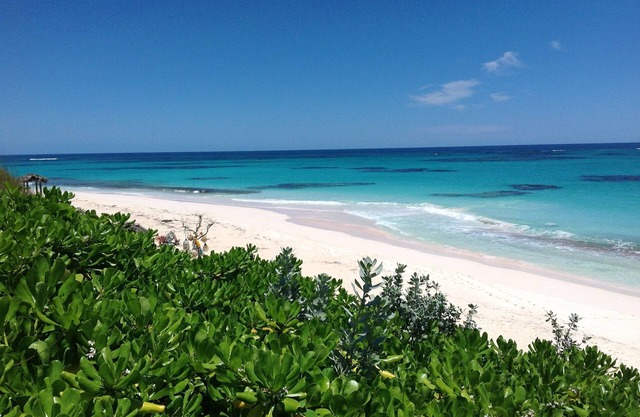 Cayo Loco 1 Bedroom Home