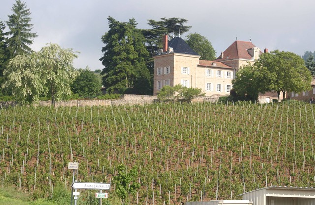 Cèdre-Monceau, in the heart of the vineyards, family stays, seminars, events.