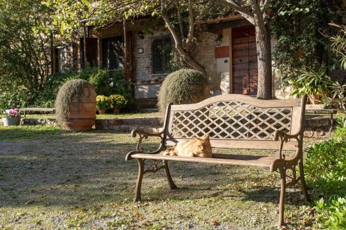 Celestina- Agriturismo La Valentina