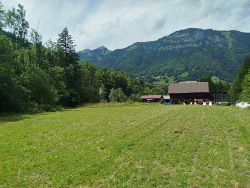 Châlet 8 personnes + grand terrain et rivière