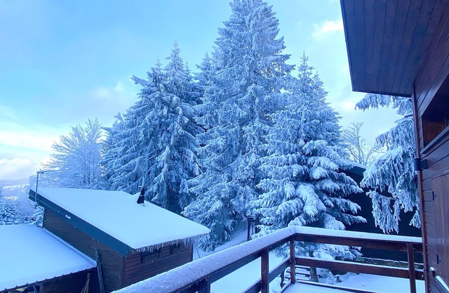 CHALET AMID SNOW-COVERED FIR TREES