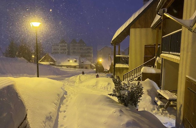 Chalet Aster 8