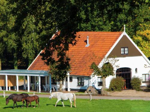 Chalet in Netherlands with Private Garden
