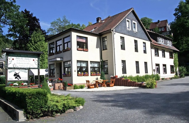 Charmantes Refugium, Harz