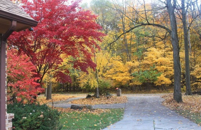 Charming 1-bedroom bungalow with 3 outside parking and fitness room