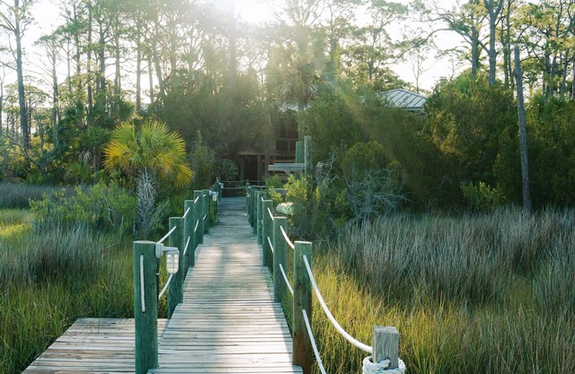 Charming 2-bedroom Tree House in fantastic Saint George Island