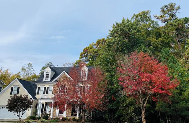Charming 3-bedroom house in serene Cary,