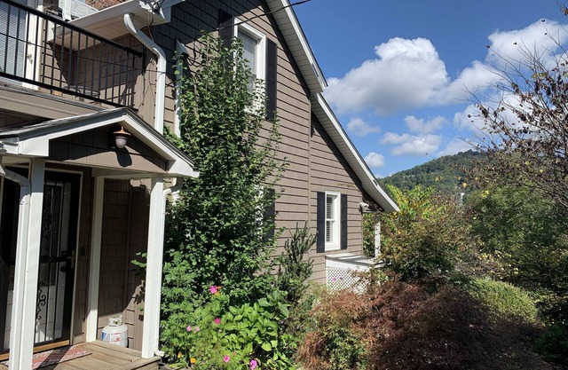 Charming 3 BR House in Downtown