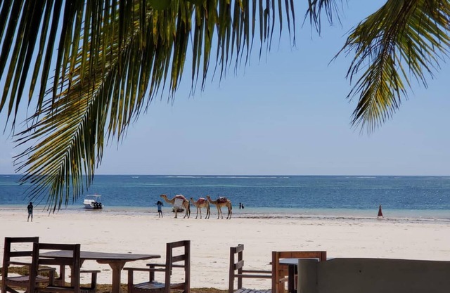 Charming and Remarkable15-bed Villa in Diani Beach