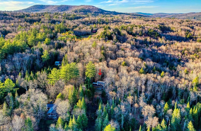 Charming cabin w/mountain views and High-Speed WiFi - near Cannon Mountain