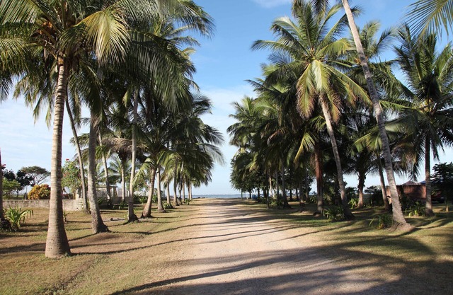 Charming, comfortable cabana in a private peaceful neighborhood by the ocean