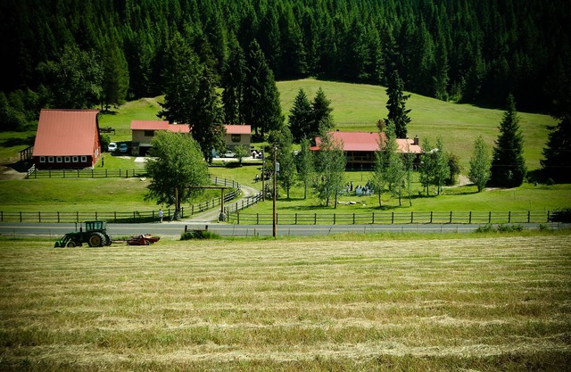 Charming country accommodations at Brookside Acres/horse and rider accommodation