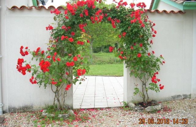 Charming house with terrace, enclosed garden, and pets allowed