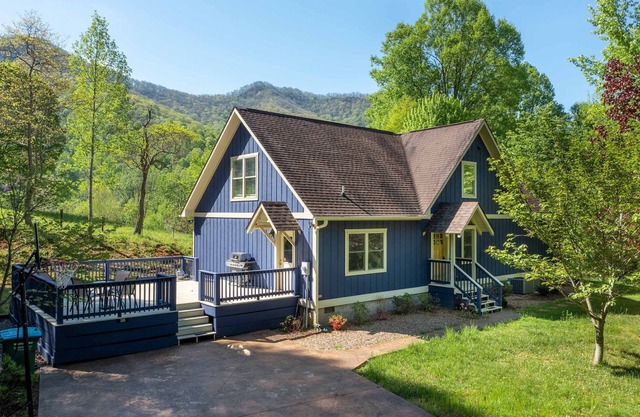 Charming Mtn Lodge, Fire Pit, Mtn View, WiFi, Grill, Treehouse, Close to town!