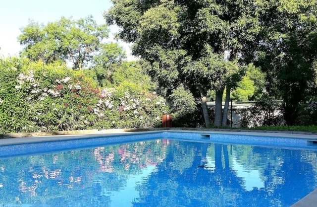 charming T2 in a green setting