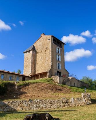 Chateau Montegut Logis Rustique des Pyrénées