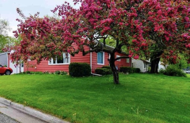 Cherry Corner Cottage-Vintage 3 Bedroom Home *instant booking*