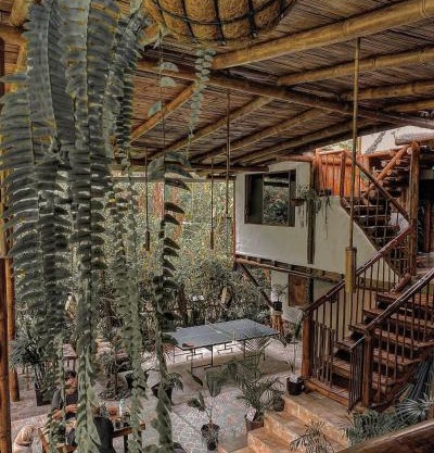 Cinnamon House