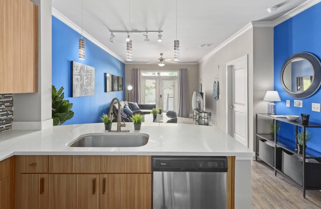 City Living in Downtown Raleigh Luxury Apt 1
