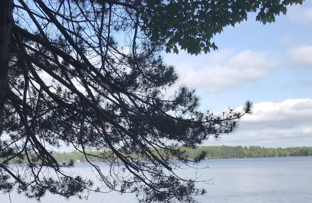 Clean, Classic, Quiet Lakefront Comfort - Augie's Cabin on the Three Lakes Chain
