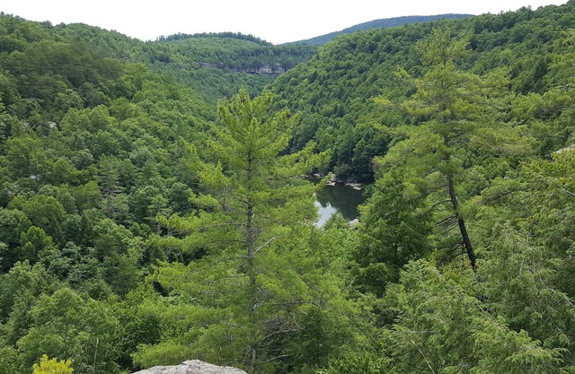Clear View Retreat: Cabins in the woods near Obed, Catoosa, Crossville, & more