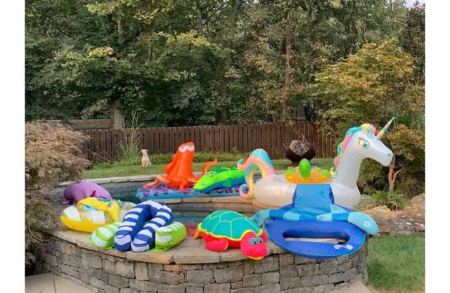 Close,Private,Pool,Pets,Kids!