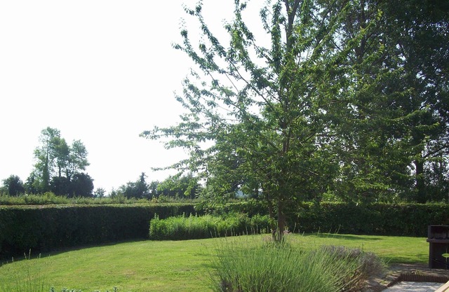 CLOSE WIMEREUX COTTAGE OF 10 PEOPLE IN THE HEART OF A PEDAGOGICAL FARM