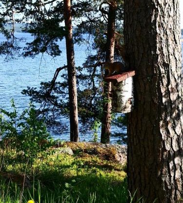 Club House Hotelli Kaipolan Ranta