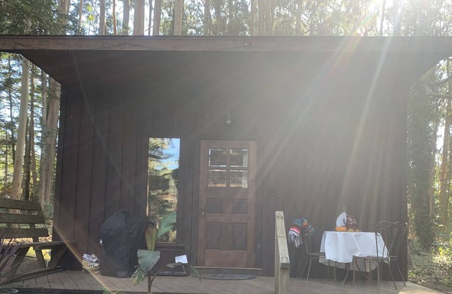 Coastal Forest Cabin