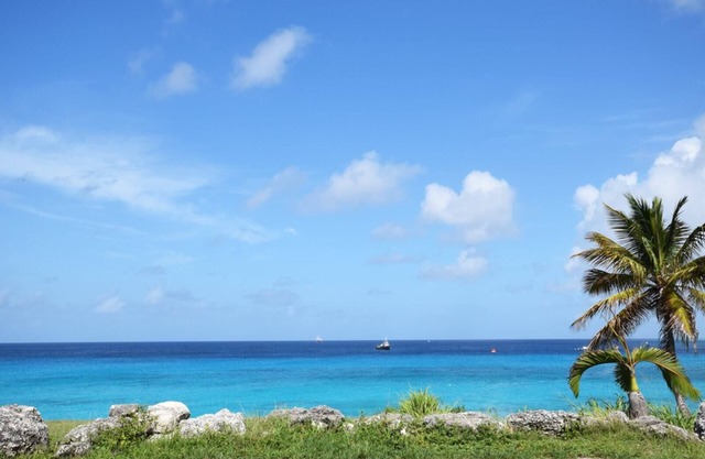 Coastal Serenity - Rooftop Terrace, 1 minute to ocean