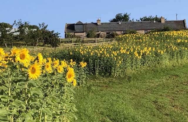 Cockle Kitty Cottage is in a quiet corner of the Scottish Borders, Kelso 3 miles