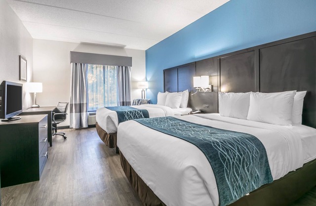 Comfort Inn University