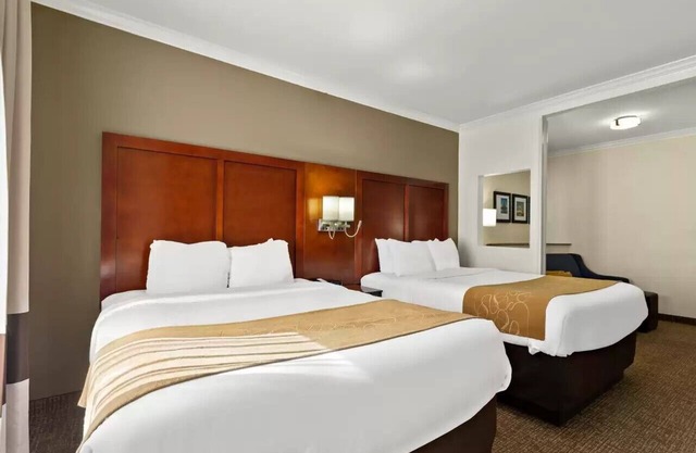 Comfort Suites Corpus Christi Central