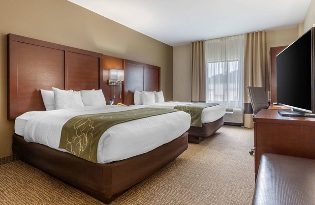Comfort Suites Johnson City near University