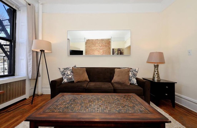 Comfortable 1Br in Manhattan