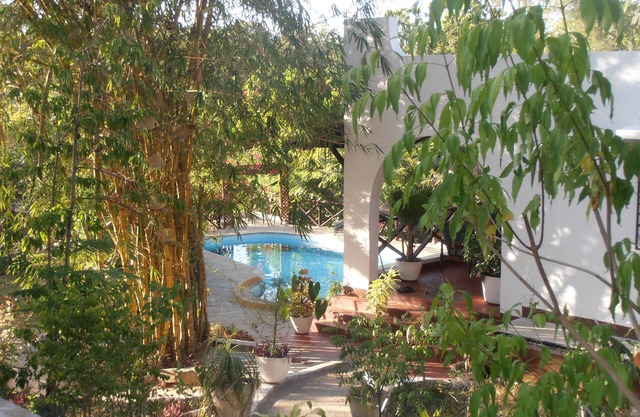 Comfortable bungalow, private swimming pool,excellent cook,near the beach,canoing,boat trips,fishing, situated in a lush tropical garden,Eco-friendly environment,