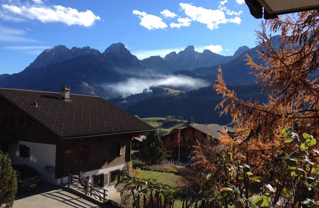 Comfortable mountain flat in Château d'Oex, sleeps 2