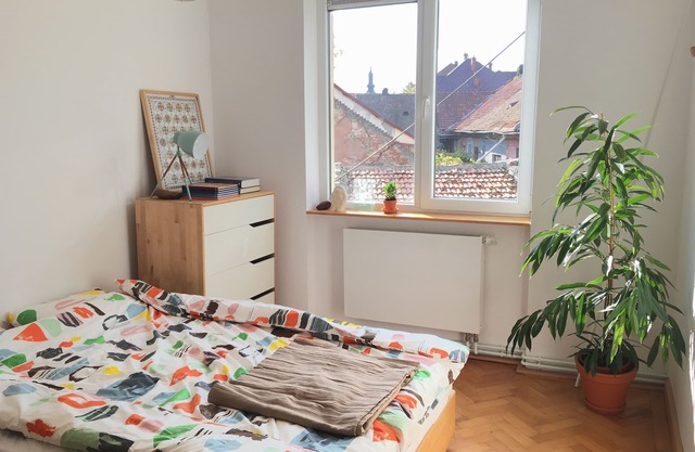 Comfy Apartment In Central Timisoara