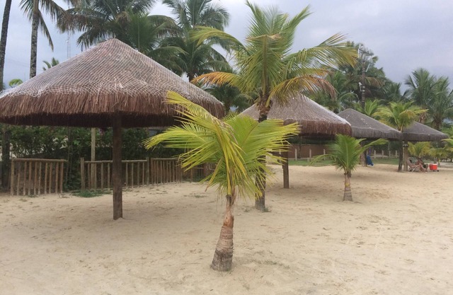 CONDOMINIUM DEPARTMENT OF THE BEACH BERTIOGA BORACEIA