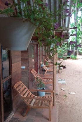 Cool Banyan Cabana