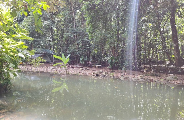 Cool Waters Jungle Camping