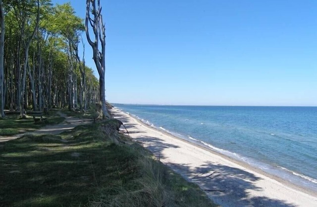 Cosy apartment with balcony, 400 meters to the beach, dog on request