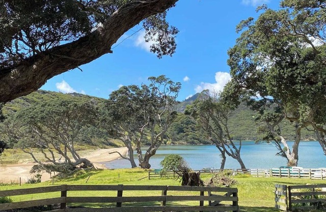 Cosy beach house meters from Okupu Bay