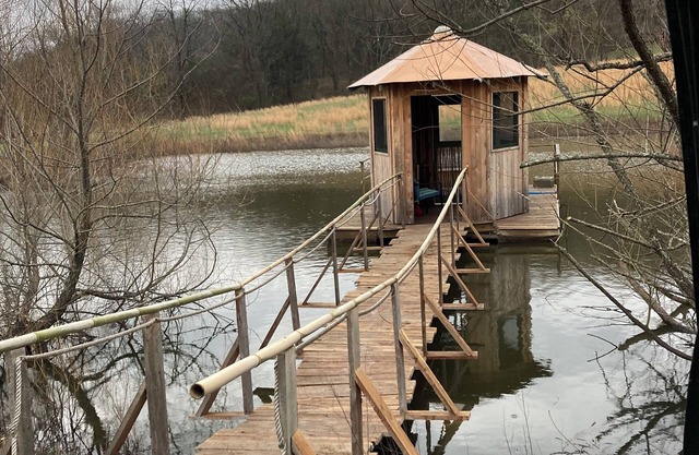 Cosy Trailer in a Private Delightful Location on a 175 Acre Art Farm in TN