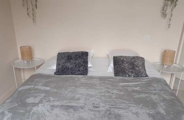 Cottage for 8 people in the city center, 1 km from the Château de Chenonceau