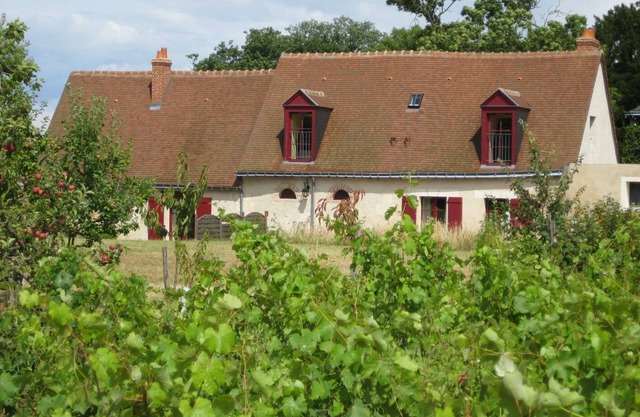 Cottage in the heart of a vineyard with private pool in season